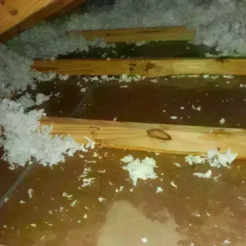 Attic Water Damage in San Carlos, CA