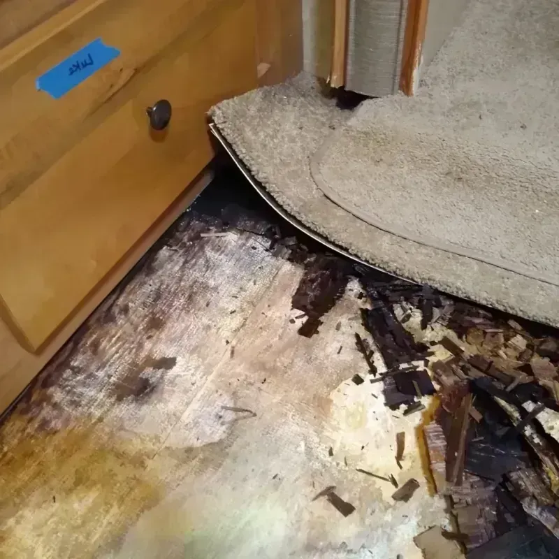 Best Wood Floor Water Damage Service in San Carlos, CA